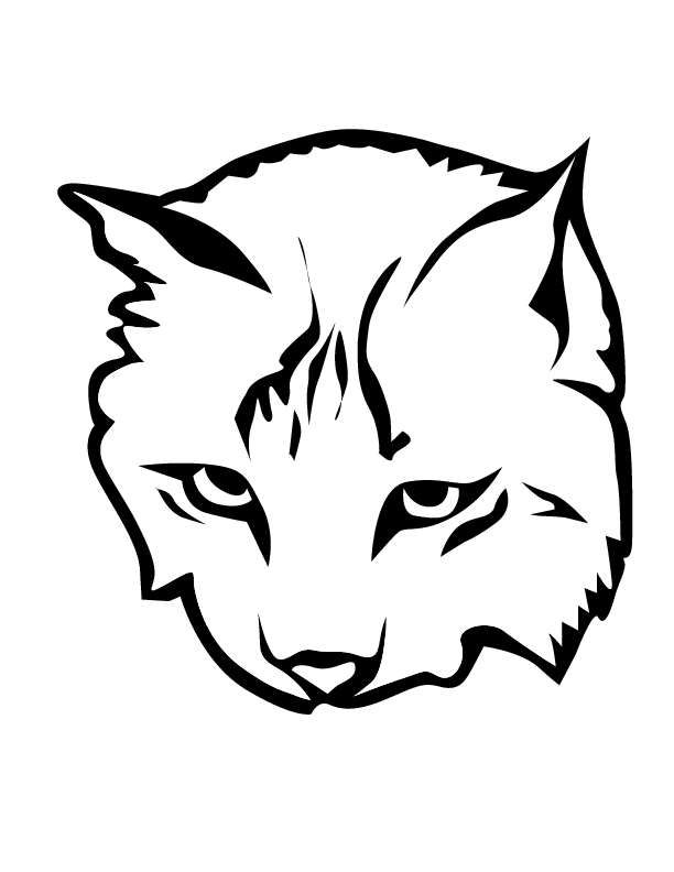 84 Bobcat Coloring Pages Printable 84