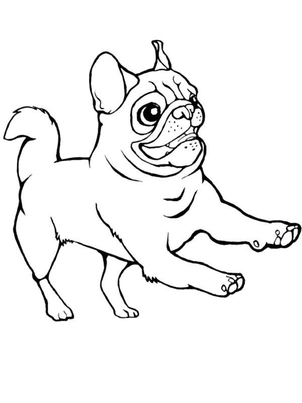 94 Cute Pug Coloring Pages Printable 26