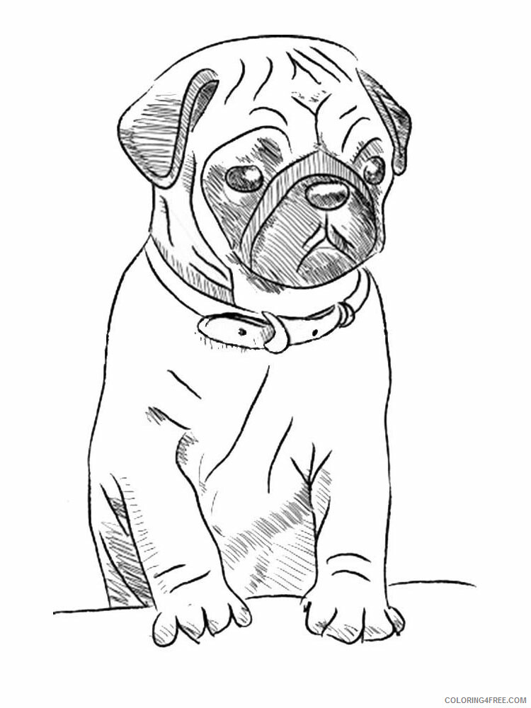 94 Cute Pug Coloring Pages Printable 30