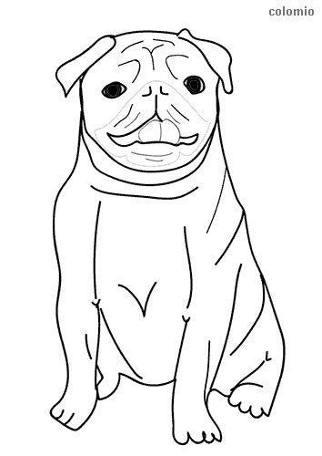 94 Cute Pug Coloring Pages Printable 64