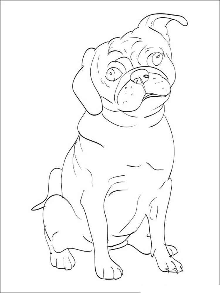 94 Cute Pug Coloring Pages Printable 73