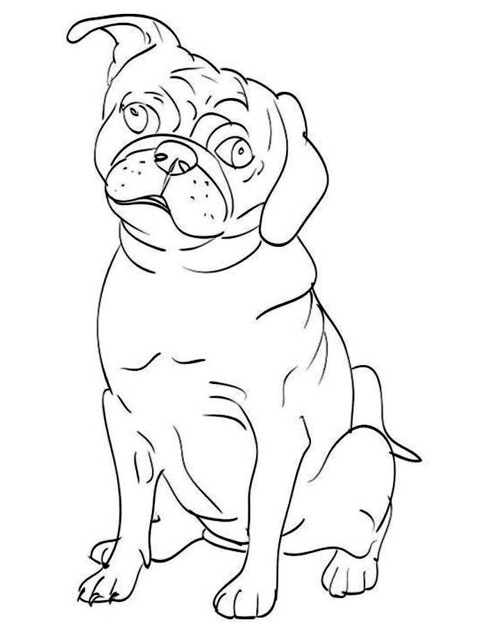 94 Cute Pug Coloring Pages Printable 8