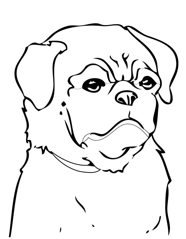 94 Cute Pug Coloring Pages Printable 87