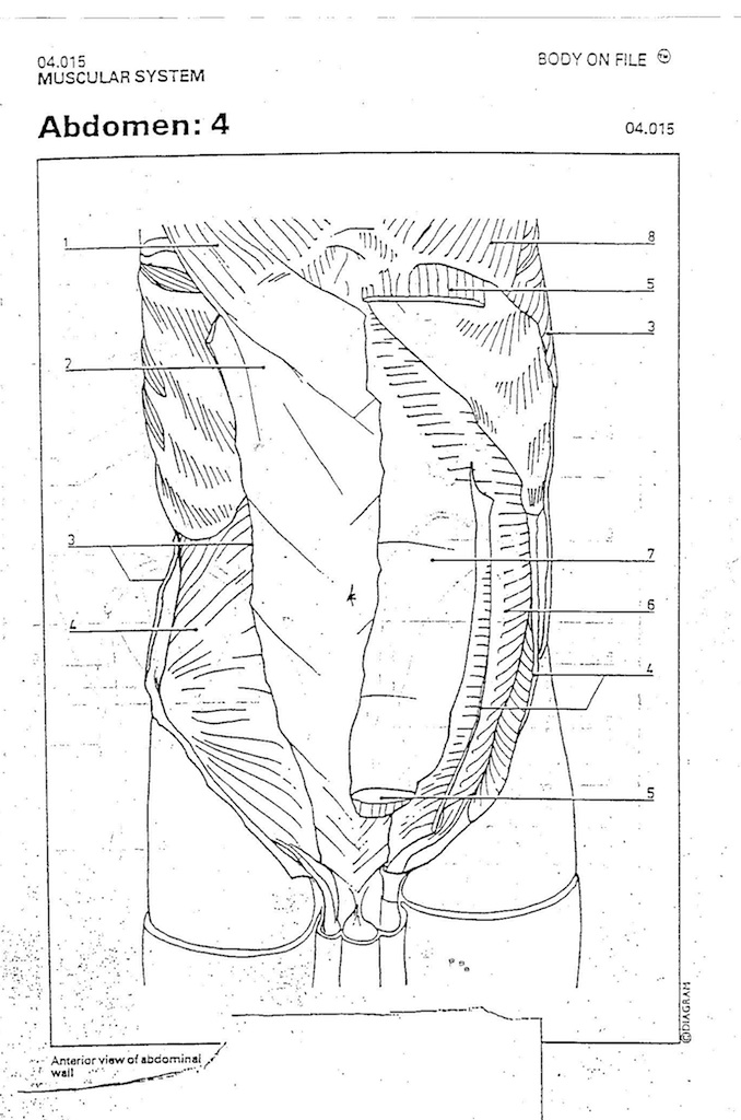 Chiseled Abs Coloring Pages Printable 2