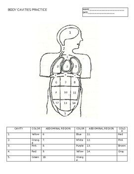 Chiseled Abs Coloring Pages Printable 35