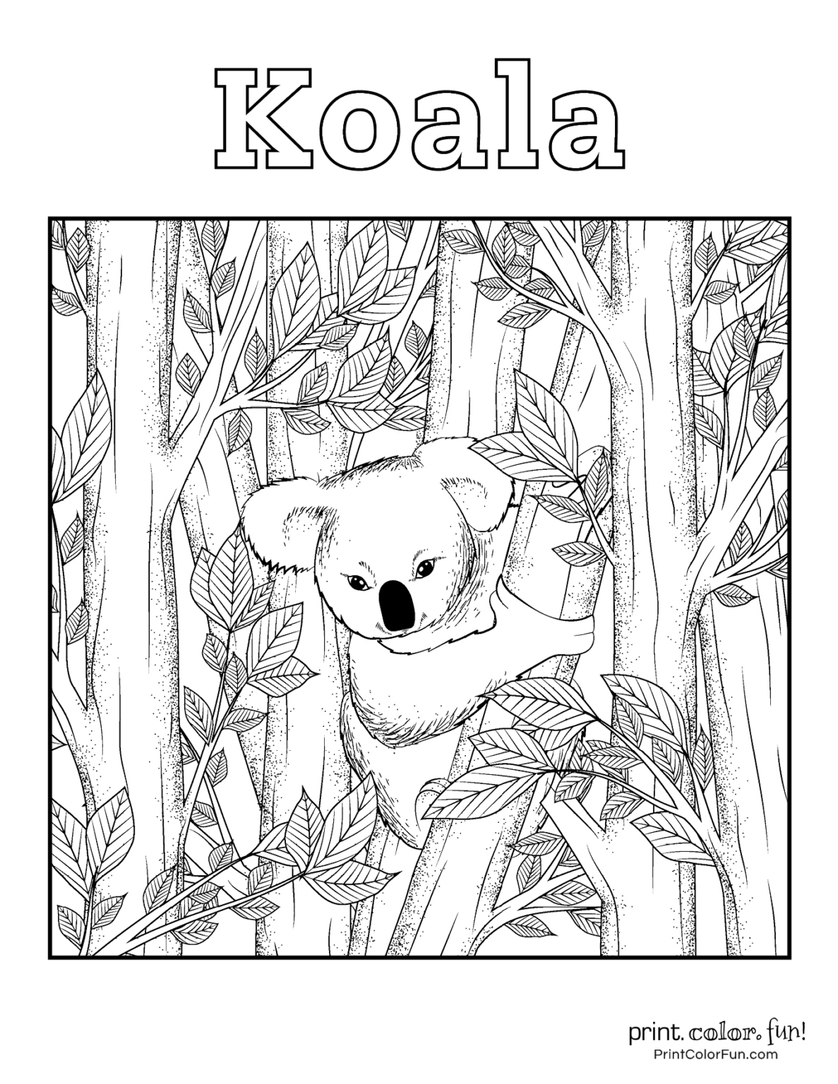 Cuddly Koalas Coloring Pages Printable 14