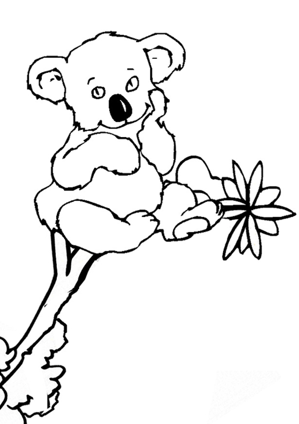 Cuddly Koalas Coloring Pages Printable 17