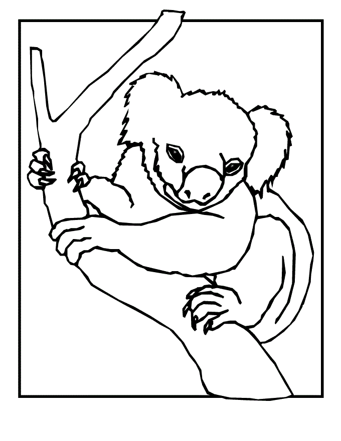 Cuddly Koalas Coloring Pages Printable 19