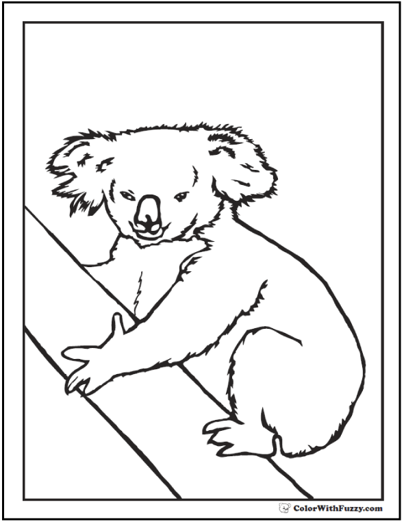 Cuddly Koalas Coloring Pages Printable 22