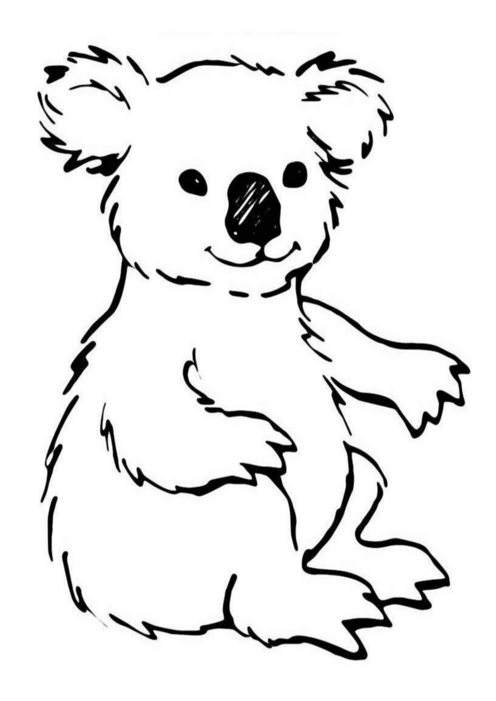 Cuddly Koalas Coloring Pages Printable 28