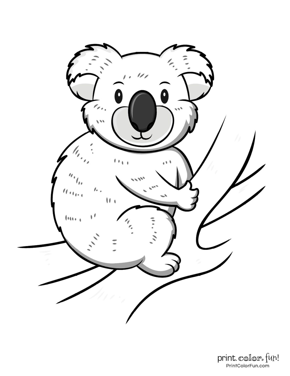 Cuddly Koalas Coloring Pages Printable 9