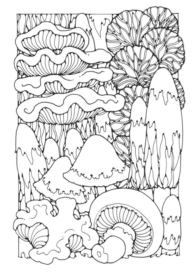 Mushroom Coloring Pages Printable Fantasy 15