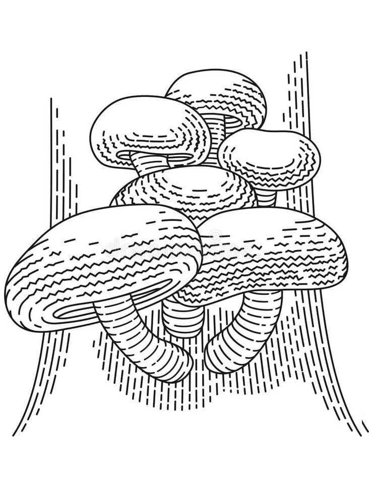 Mushroom Coloring Pages Printable Fantasy 17