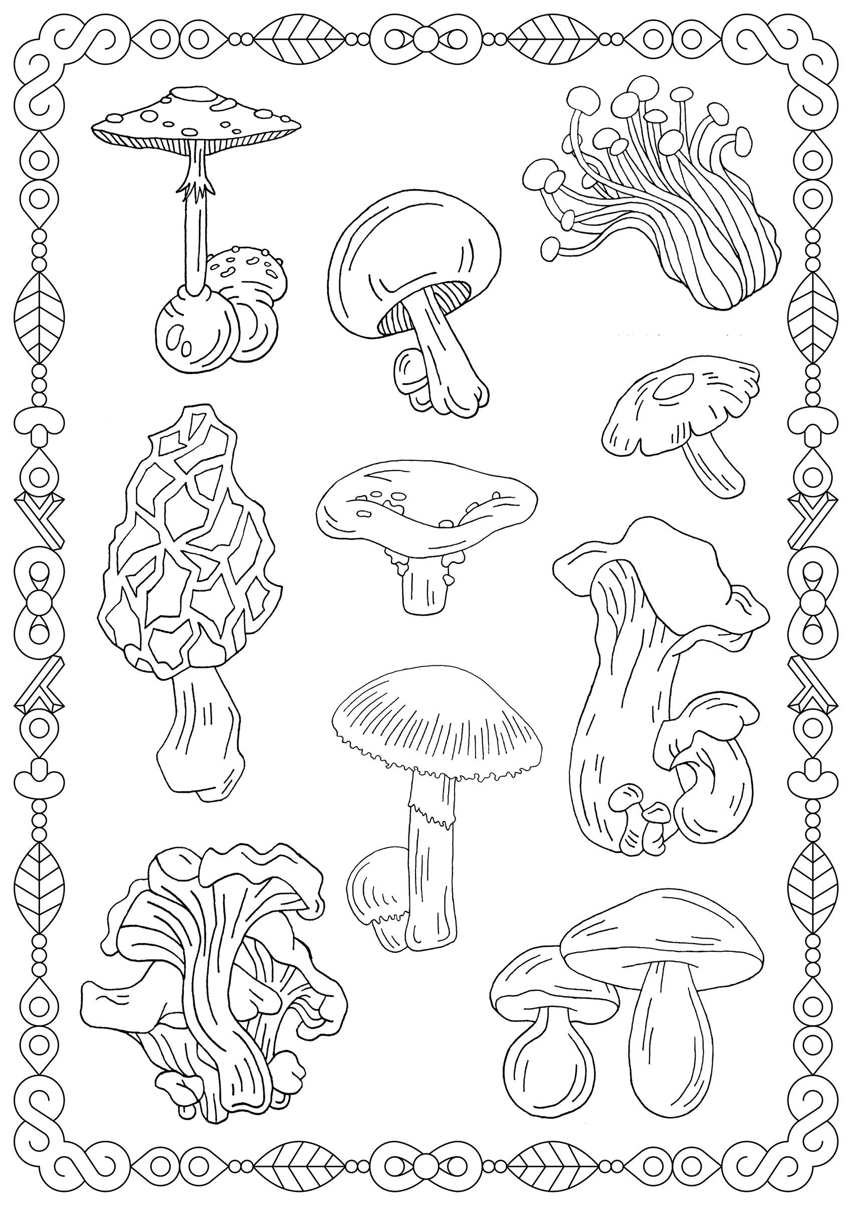 Mushroom Coloring Pages Printable Fantasy 21