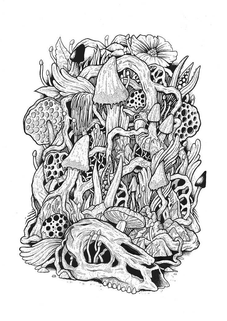 Mushroom Coloring Pages Printable Fantasy 5