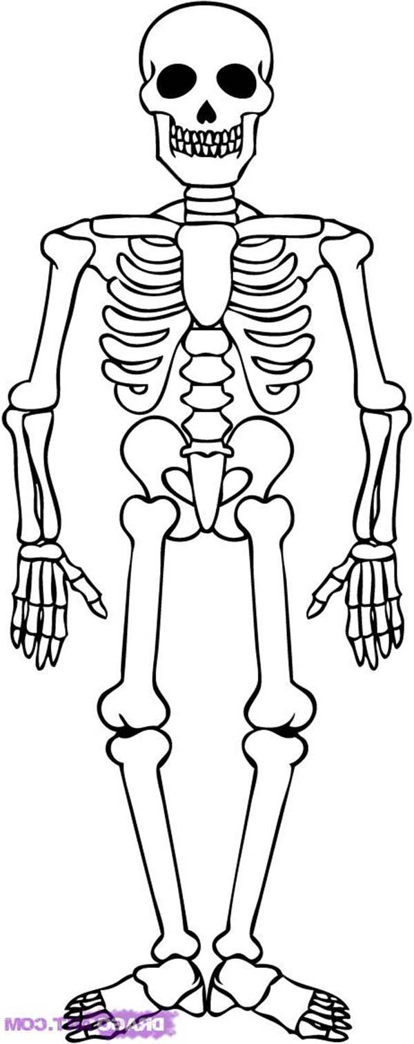 Spooky Bone Coloring Pages Printable 8