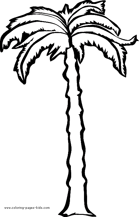 Tropical Palm Tree Coloring Pages Printable 11