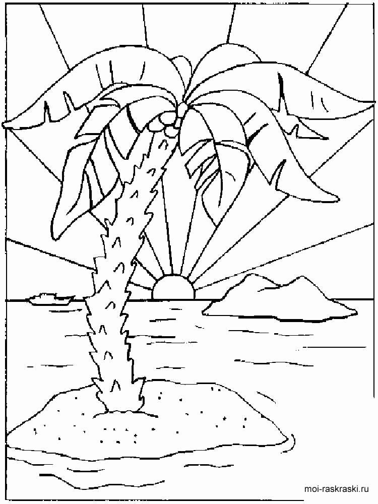 Tropical Palm Tree Coloring Pages Printable 12