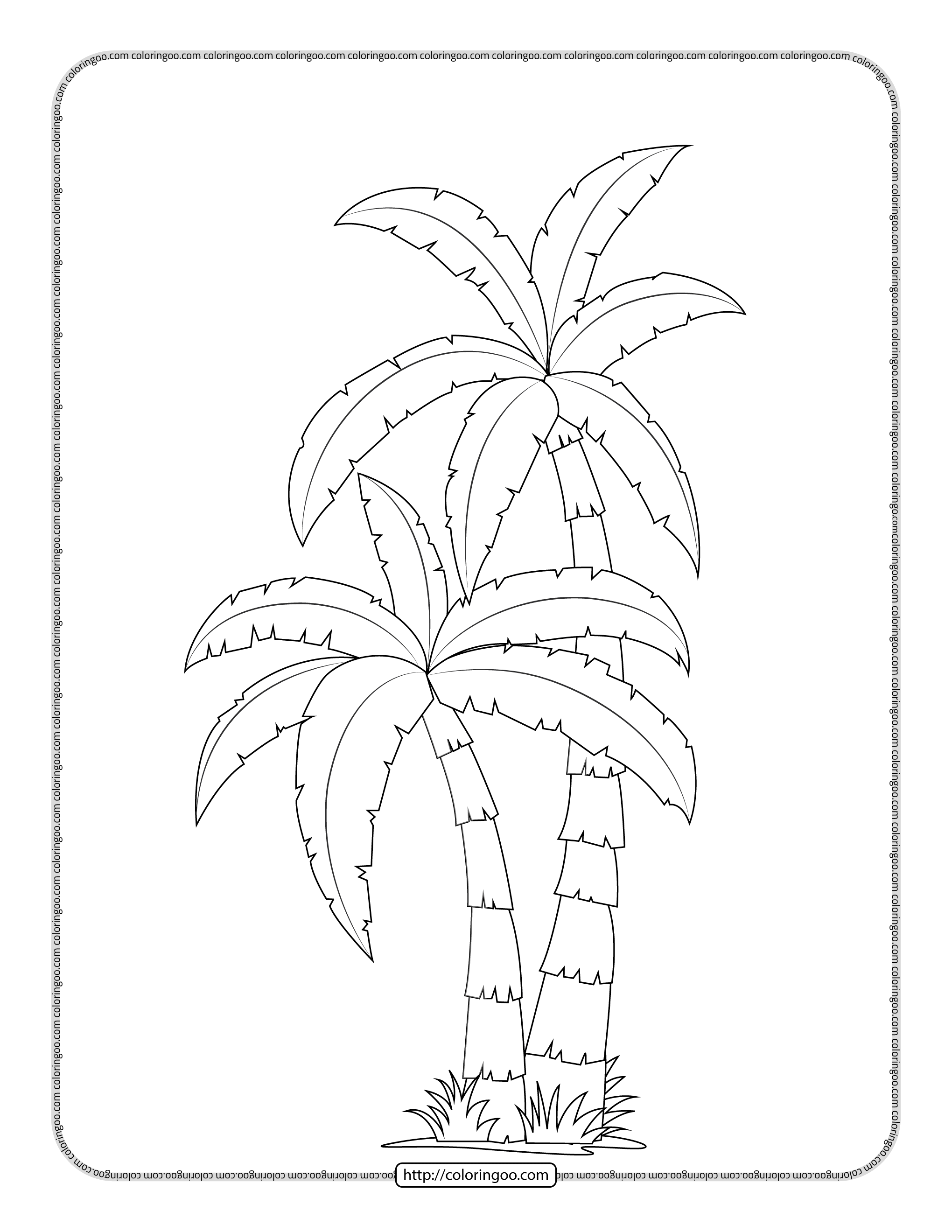 Tropical Palm Tree Coloring Pages Printable 16