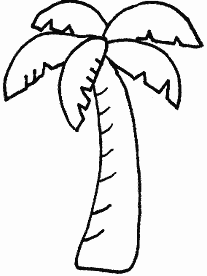 Tropical Palm Tree Coloring Pages Printable 2