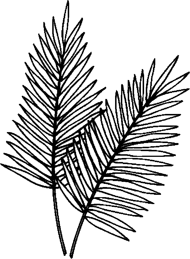 Tropical Palm Tree Coloring Pages Printable 22