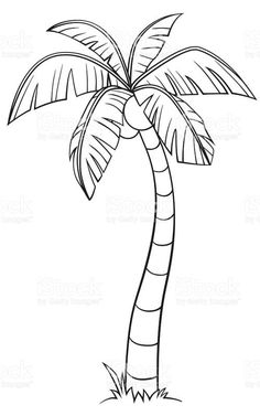 Tropical Palm Tree Coloring Pages Printable 23