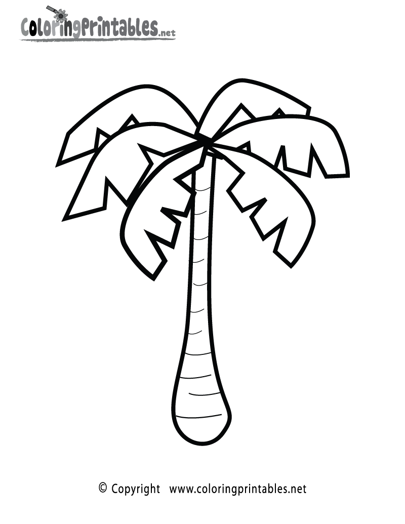 Tropical Palm Tree Coloring Pages Printable 25