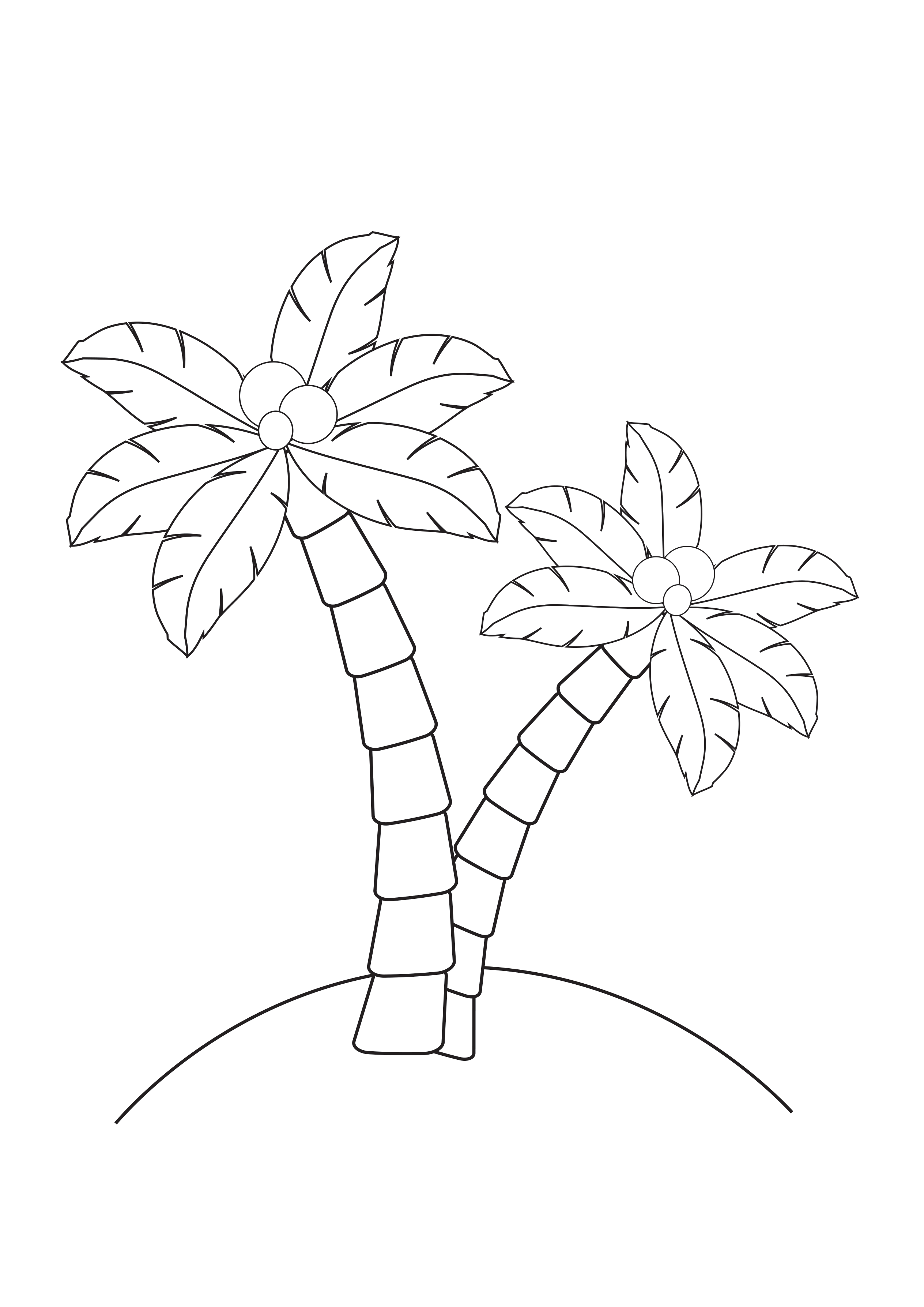 Tropical Palm Tree Coloring Pages Printable 26