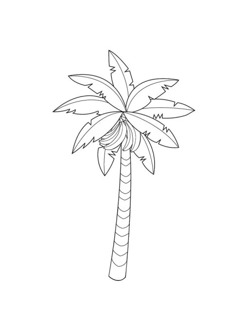 Tropical Palm Tree Coloring Pages Printable 28