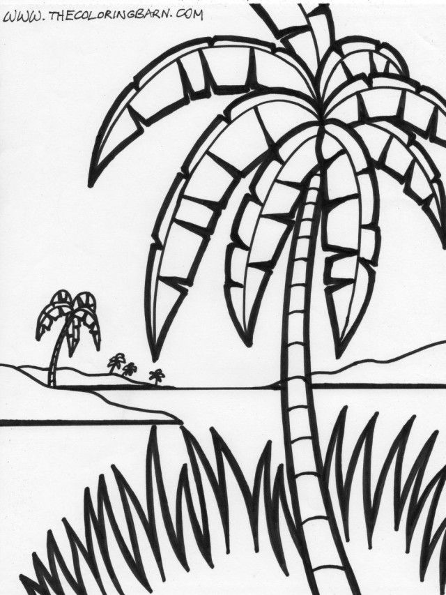 Tropical Palm Tree Coloring Pages Printable 33