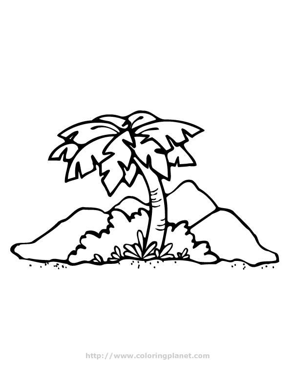 Tropical Palm Tree Coloring Pages Printable 35