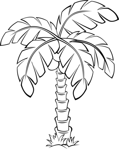 Tropical Palm Tree Coloring Pages Printable 8