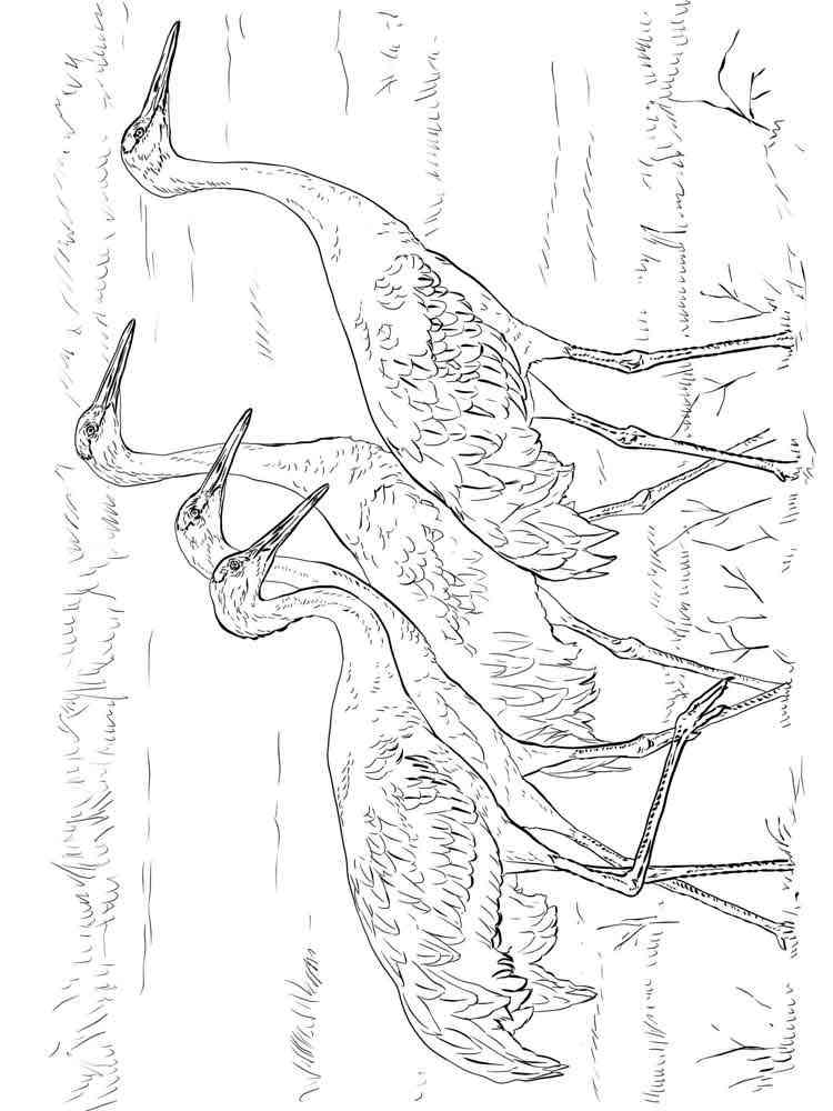 30 Crane Coloring Pages Printable 12