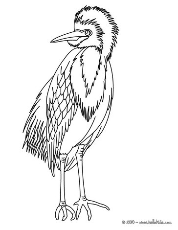 30 Crane Coloring Pages Printable 24