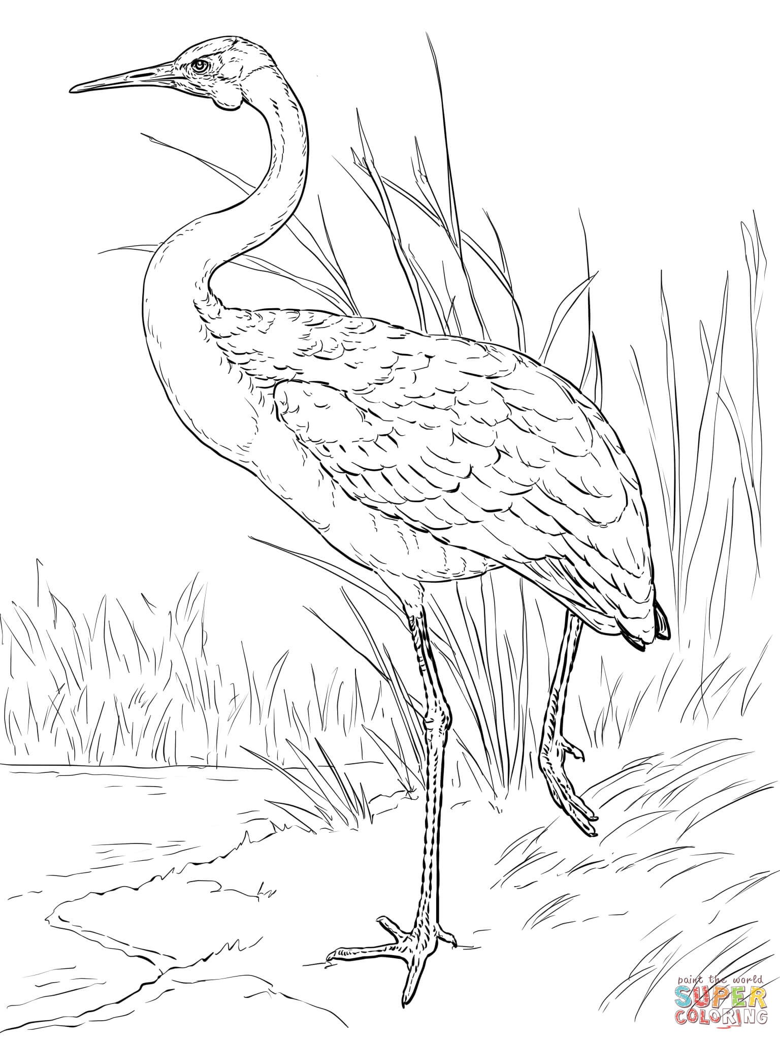 30 Crane Coloring Pages Printable 26