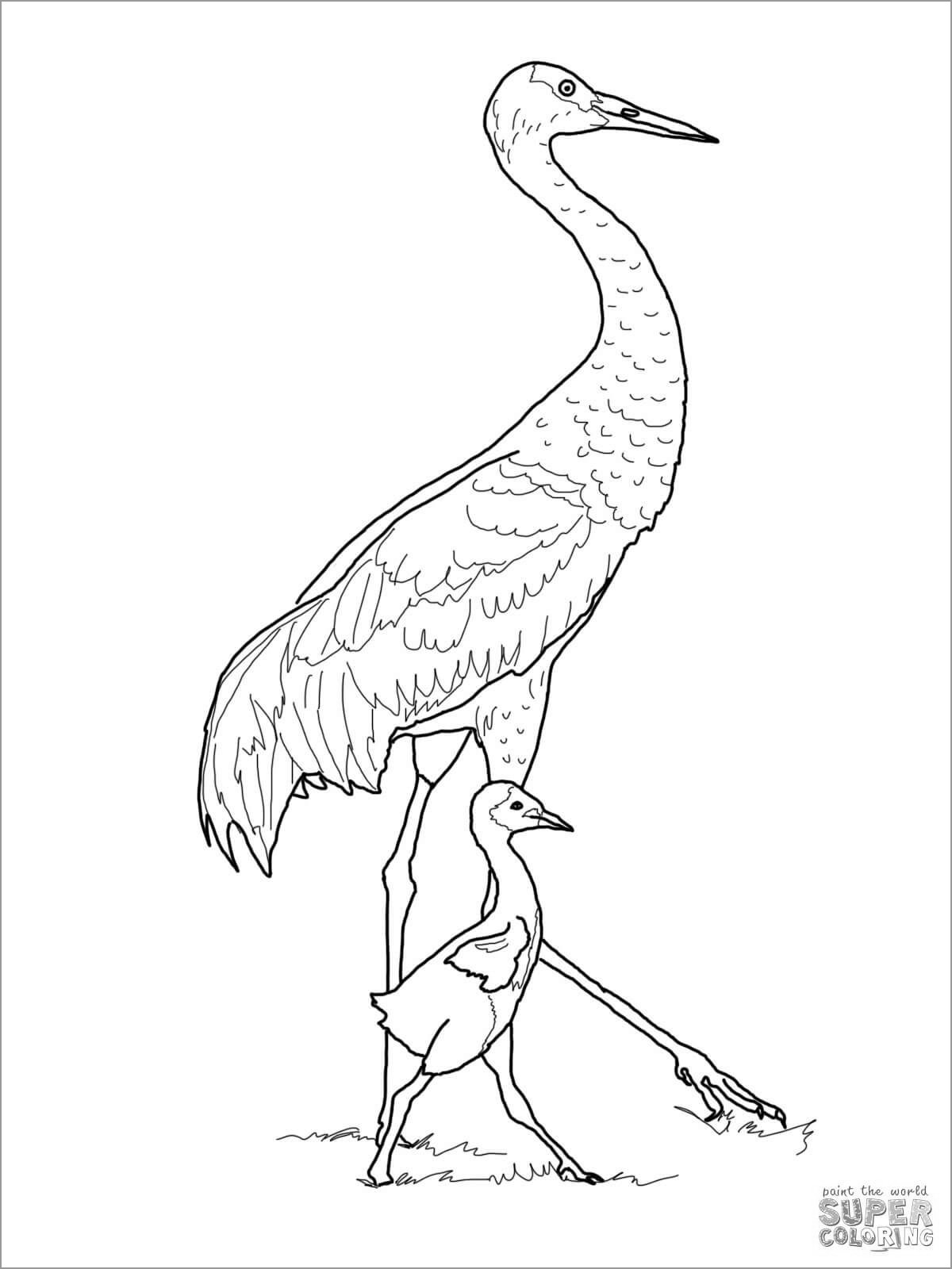 30 Crane Coloring Pages Printable 28