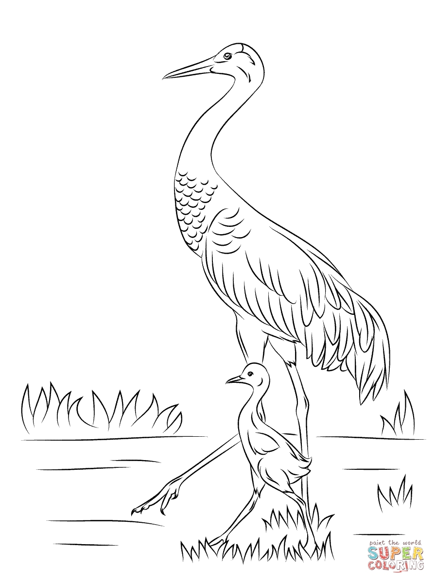 30 Crane Coloring Pages Printable 33