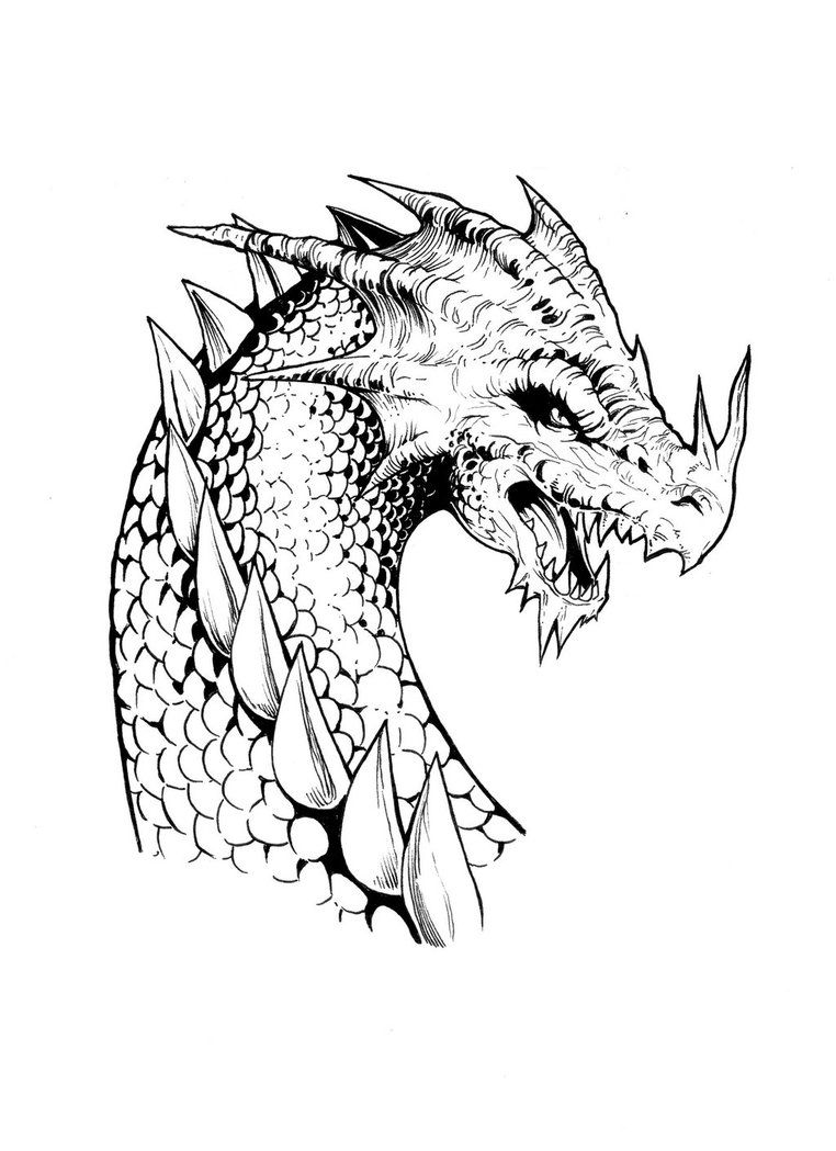 realistic dragon coloring pages printable jpg