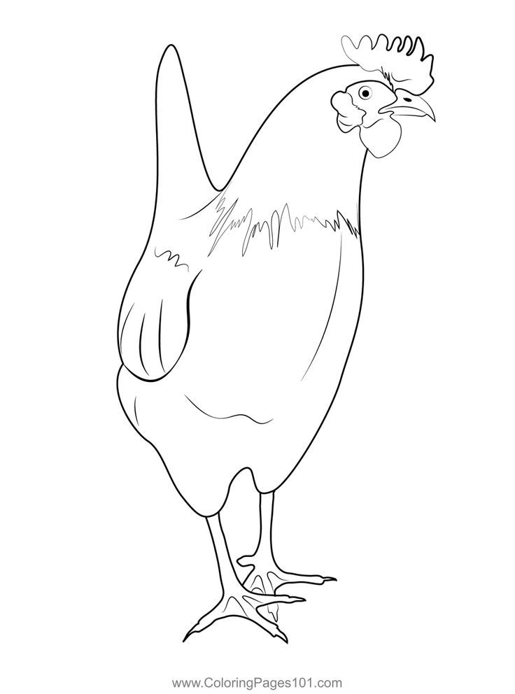 31 Chicken Coloring Pages Printable 15