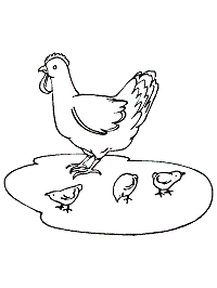 31 Chicken Coloring Pages Printable 17