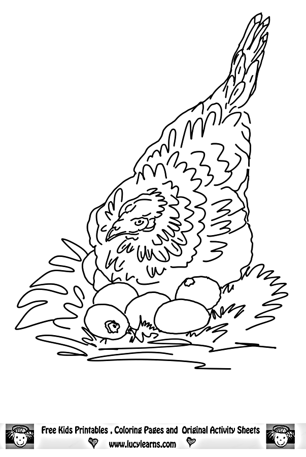 31 Chicken Coloring Pages Printable 19