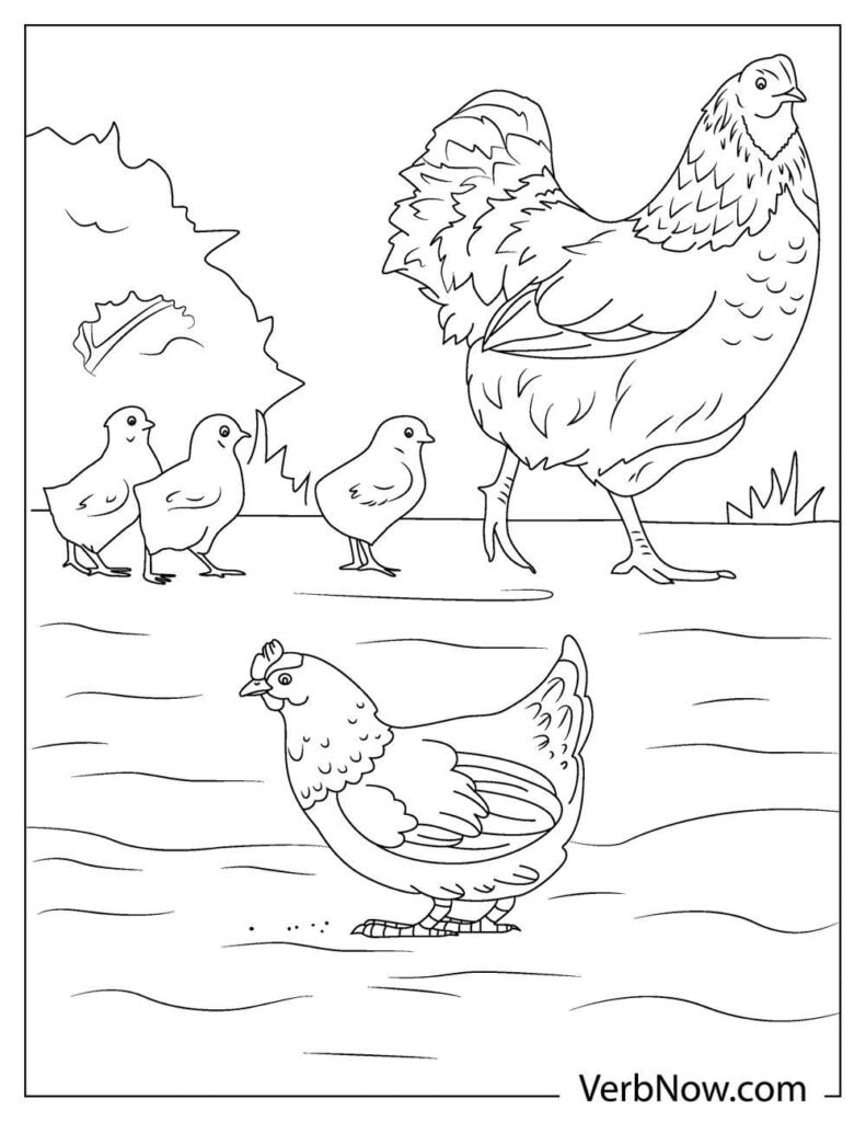 31 Chicken Coloring Pages Printable 2