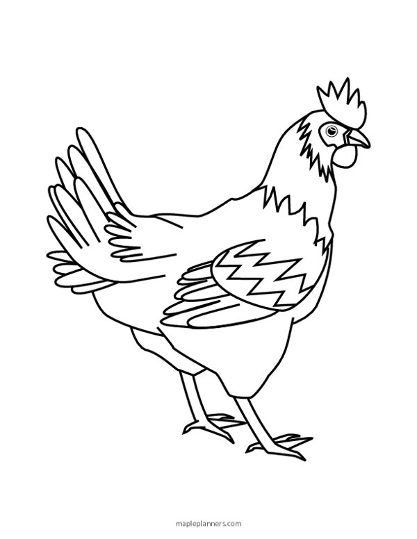 31 Chicken Coloring Pages Printable 27