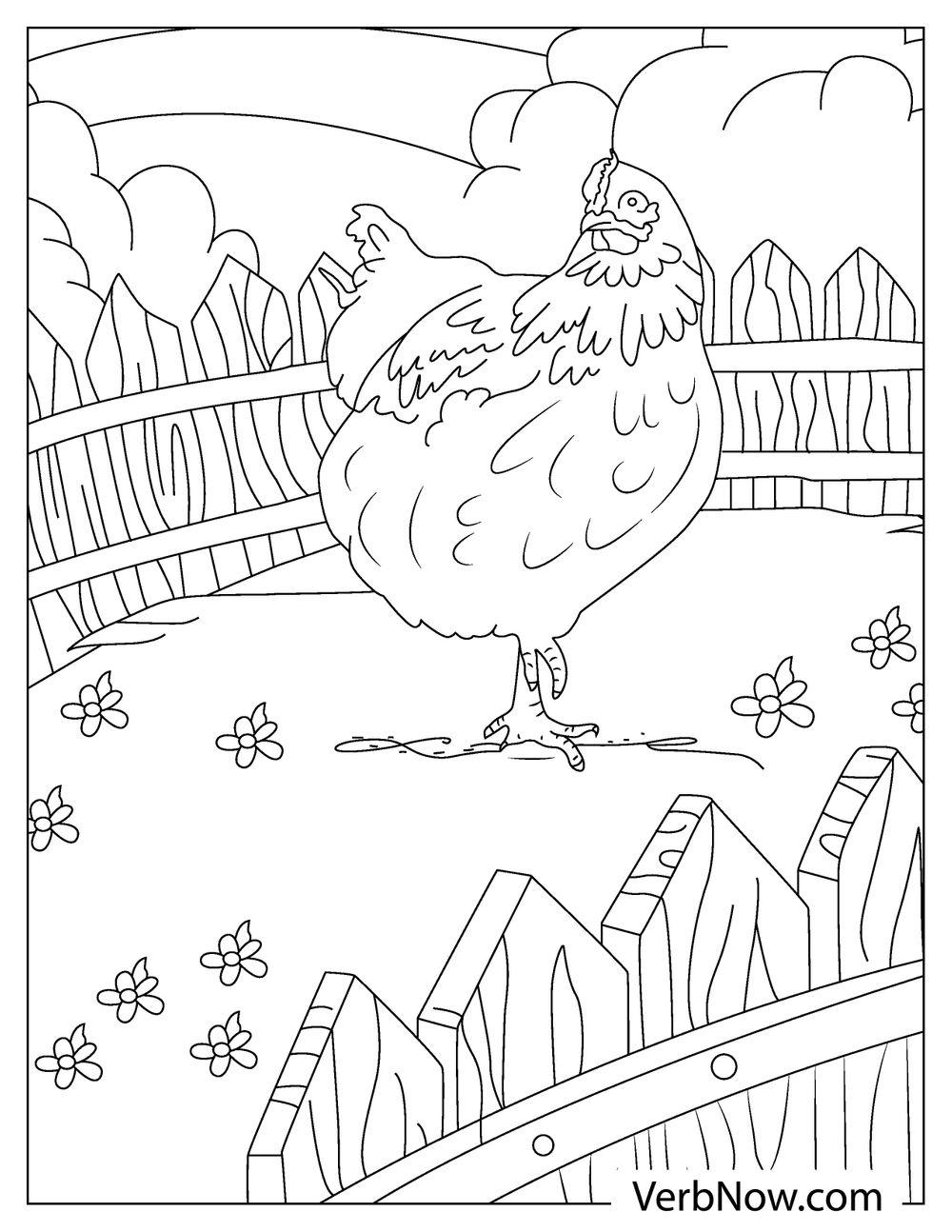 31 Chicken Coloring Pages Printable 3