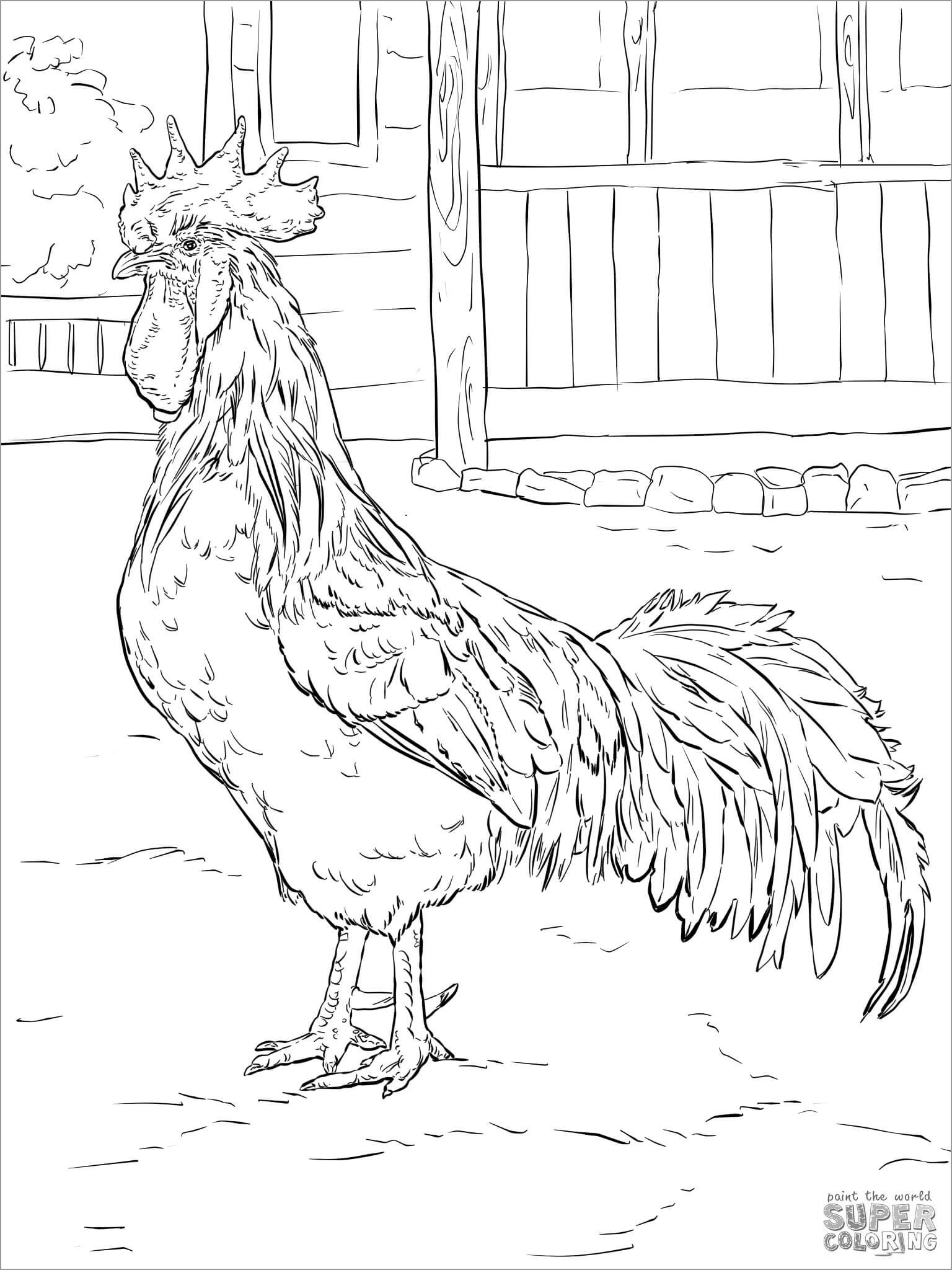 31 Chicken Coloring Pages Printable 34