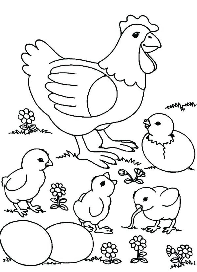 31 Chicken Coloring Pages Printable 5