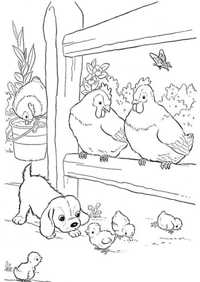 31 Chicken Coloring Pages Printable 7