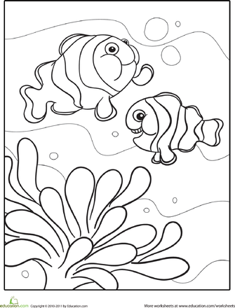 31 Clownfish Coloring Pages Printable 12