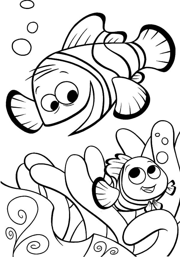 31 Clownfish Coloring Pages Printable 14