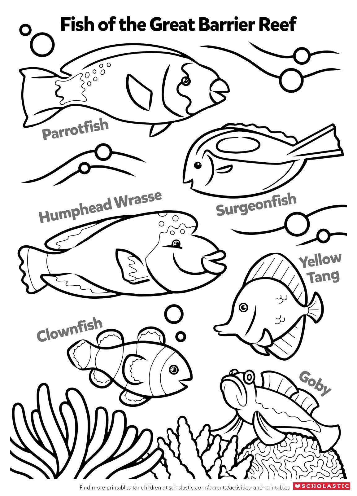 31 Clownfish Coloring Pages Printable 18